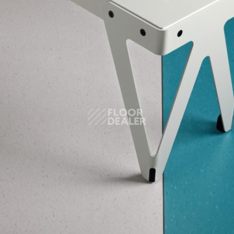 Forbo Marmoleum Decibel on Order 362935 frosty grey фото 2 | FLOORDEALER